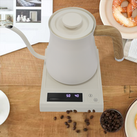 Hervidor eléctrico de acero inoxidable de estilo japonés con boquilla de 700ml, hervidor de agua caliente, té para verter sobre tetera con cuello de cisne, café por goteo