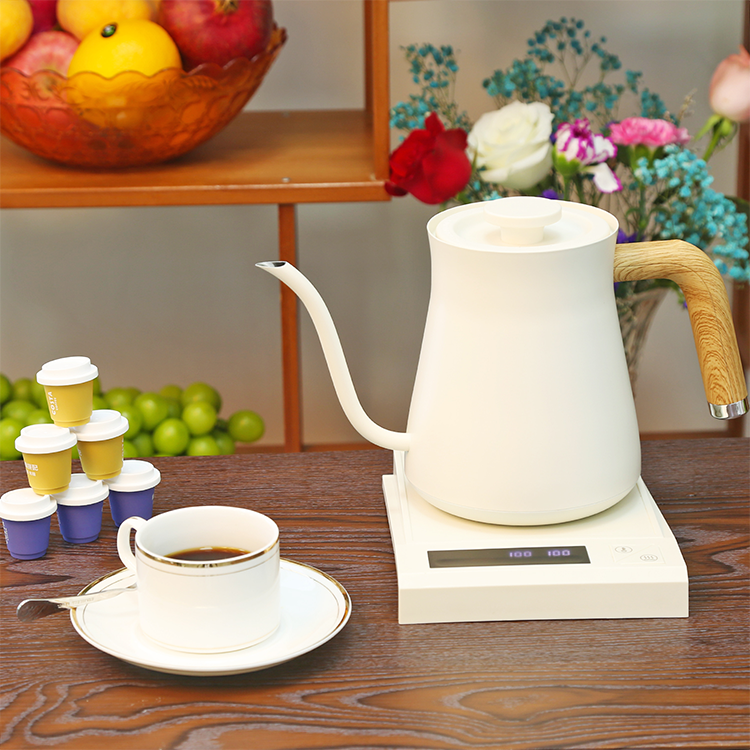 Cafetera eléctrica con Control de temperatura Variable de 0,7l, tetera blanca para preparar café, tetera para café inoxidable