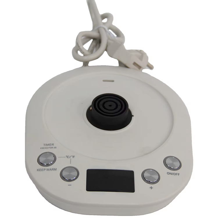 Tetera con revestimiento de acero inoxidable 304 para té y café, tetera con cuello de cisne, apagado automático, surtidor largo, hervidor de café con Control de temperatura 